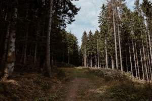 Hôtel Ecologique Vosges · 48 Degrés Nord Landscape Høtel