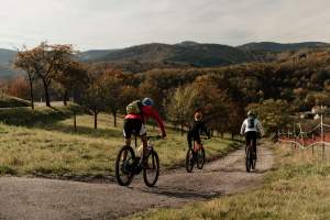 vtt
