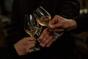 vins